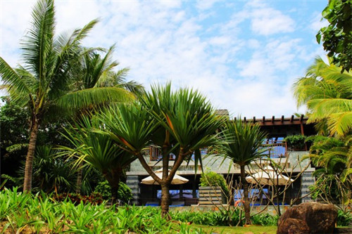 一锅两头牛火锅