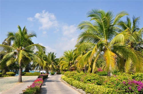 车美克斯无水洗车