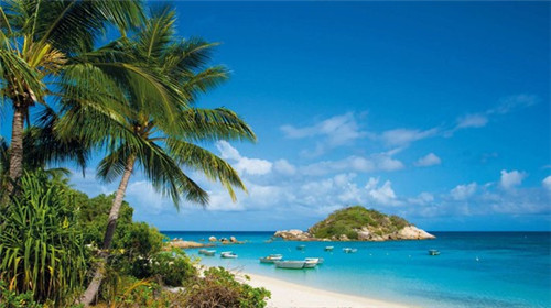 加盟皇炸炸鸡开店赚钱吗，加盟皇炸炸鸡投资成本有哪些