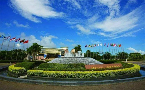 炒果条炒什么好吃又简单（如何炒果条才不会糊）