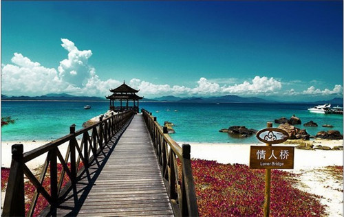 给米呀给米呀贝贝什么歌（给米要给米要是什么歌）