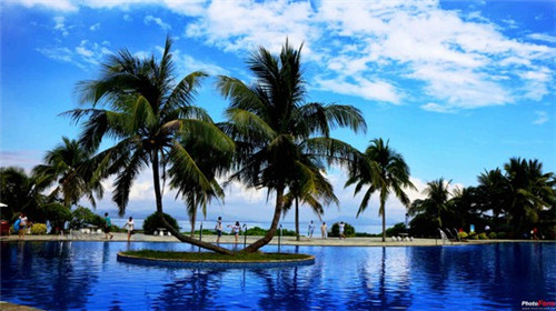 轮台必吃十大美食（轮台特色）